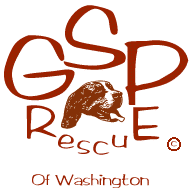 GSP Rescue Logo