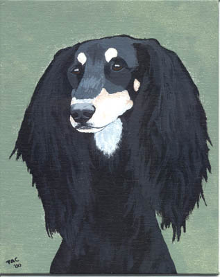 Saluki