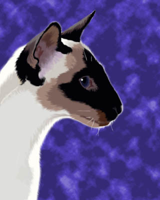 Siamese Painting