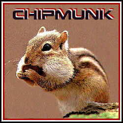 Chipmunk