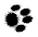 pawprint3.gif (1065 bytes)