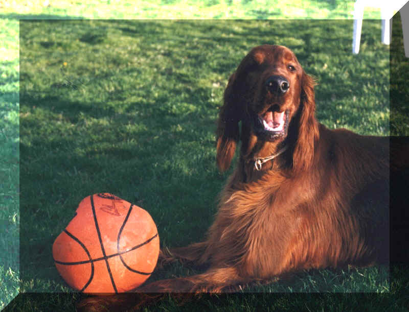 Simon relaxes with his B-ball !