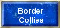 Information about border collies.