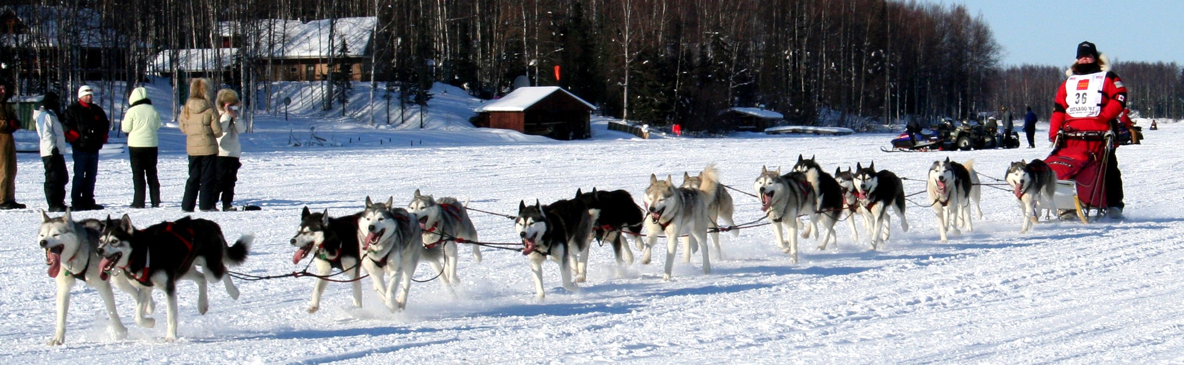 Karen Ramstead Team 2007 - RIP Snickers (grey co-leader)