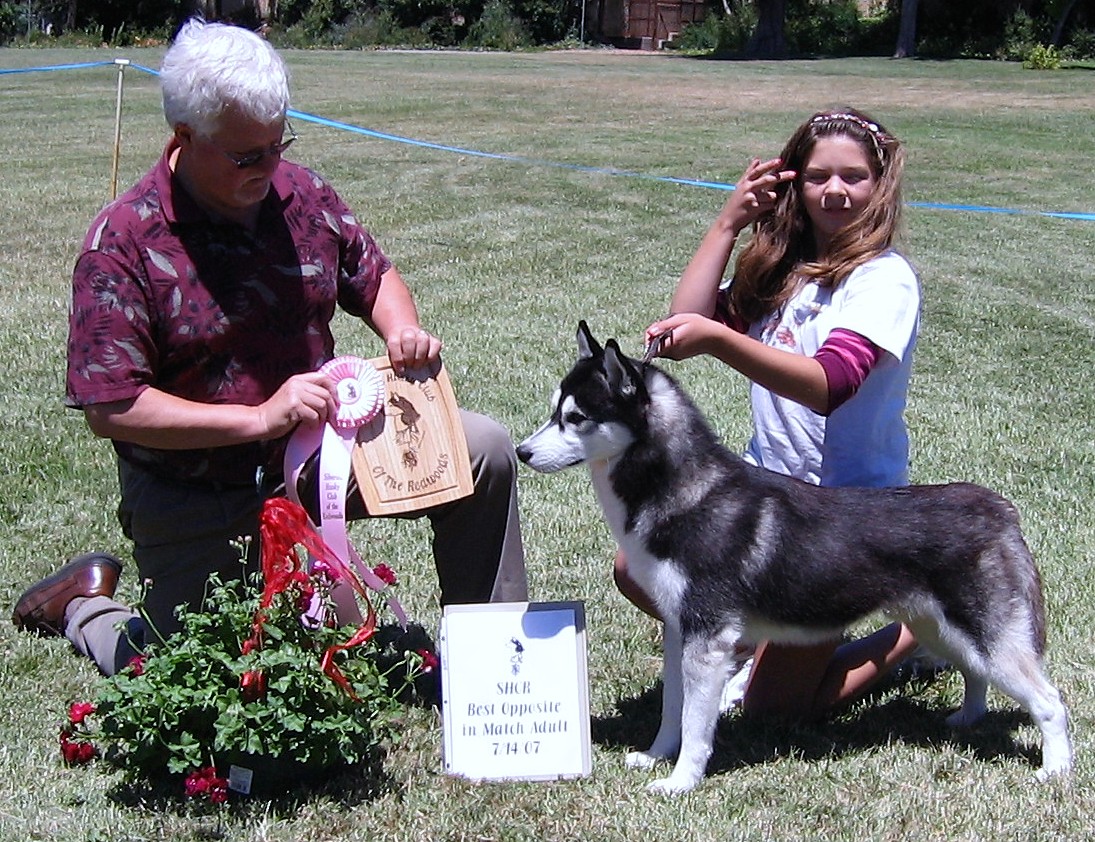 Marcel BOS in Match Adult 7/07; Judge Des Cole, handler J Graves