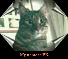 I'm PK, Welcome