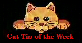 tip cat