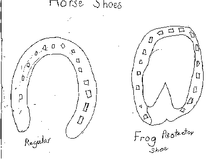 [Horse shoes]