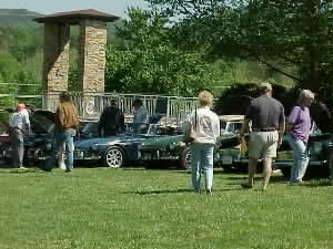 Many, many MGB's