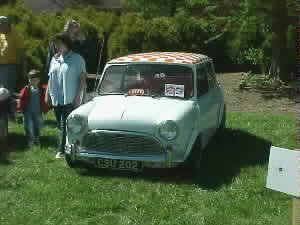 Volunteer Mini