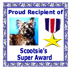 Scootsie's Award June 1999