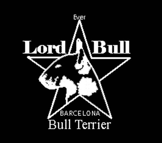 everlorbbulllogo copia.jpg