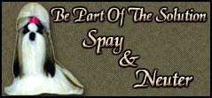 Be Part of the Soulution - Spay & Neuter