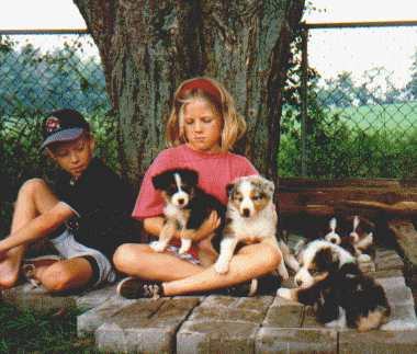 kidspups1.gif (77452 bytes)