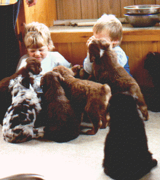 kidspups2.gif (57086 bytes)