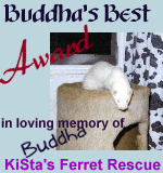 Buddha's Best Award in loving memory of Buddha KiSta's Ferret Rescue.  Presented: July 31, 1999