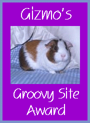 Gizmo's Groovy Site Award.  Presented: July 25, 1999