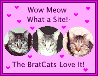 Wow Meow What A Site! The BratCats Love It! Presented: August 17, 1999