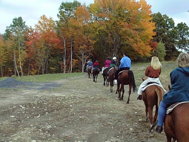 horse ride