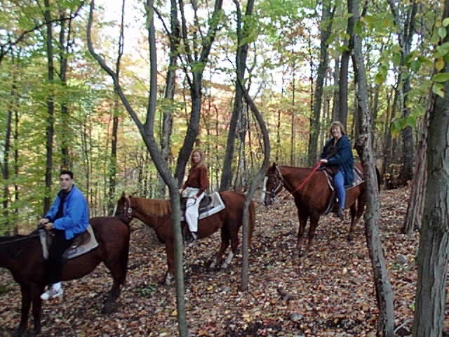 horse ride