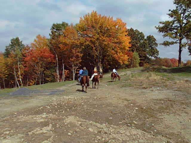 horse ride