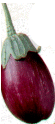 Eggplant