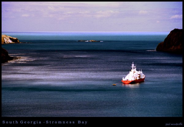 South Georgia - Stromness Bay  by  P a u l  W o o d r o f f e