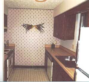 Plenty of cabinets in the kitchen.