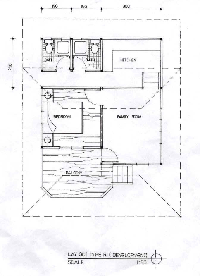 type_r1_dev.JPG (75928 bytes)