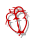 Heart image with a link to CHD related websites