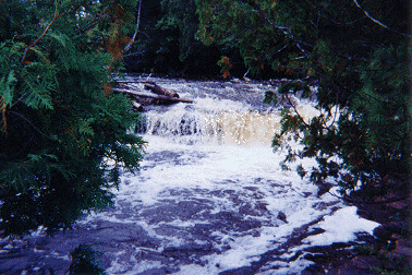 lowerfalls.gif (82577 bytes)