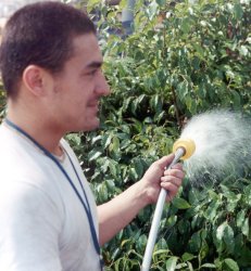 watering flowers