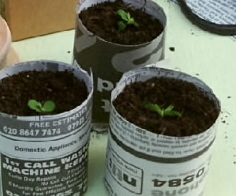 make planting pots