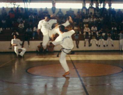 capoeira.jpg (17562 bytes)