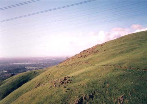 Panarama Trail