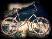 Single speed mtb