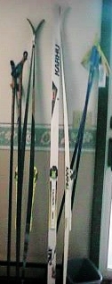 Skis with no purpose