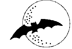 bat picture