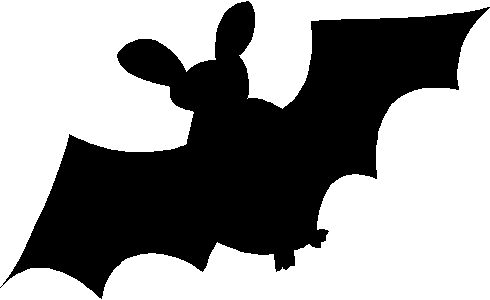 bat picture