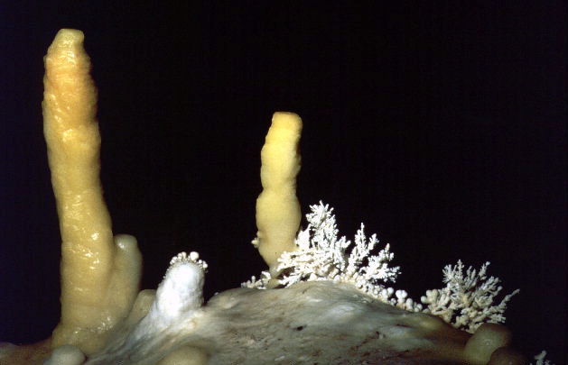 stalagmite picture