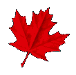 leaf.gif (1685 bytes)