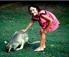 Kat petting a kangaroo in Queensland, 1982.