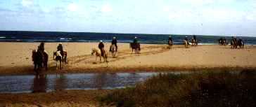 Horse riding along the coast with my cousins, Apollo Bay, Vic, 1998.