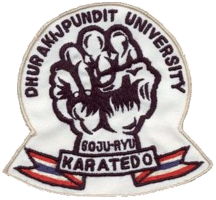 logo_dpu.gif (73301 bytes)