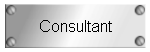 Consultant