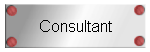 Consultant