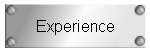 Experience