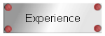 Experience