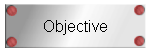 Objective