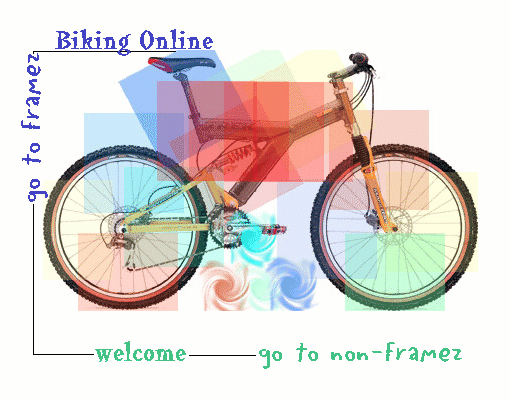 Biking Online